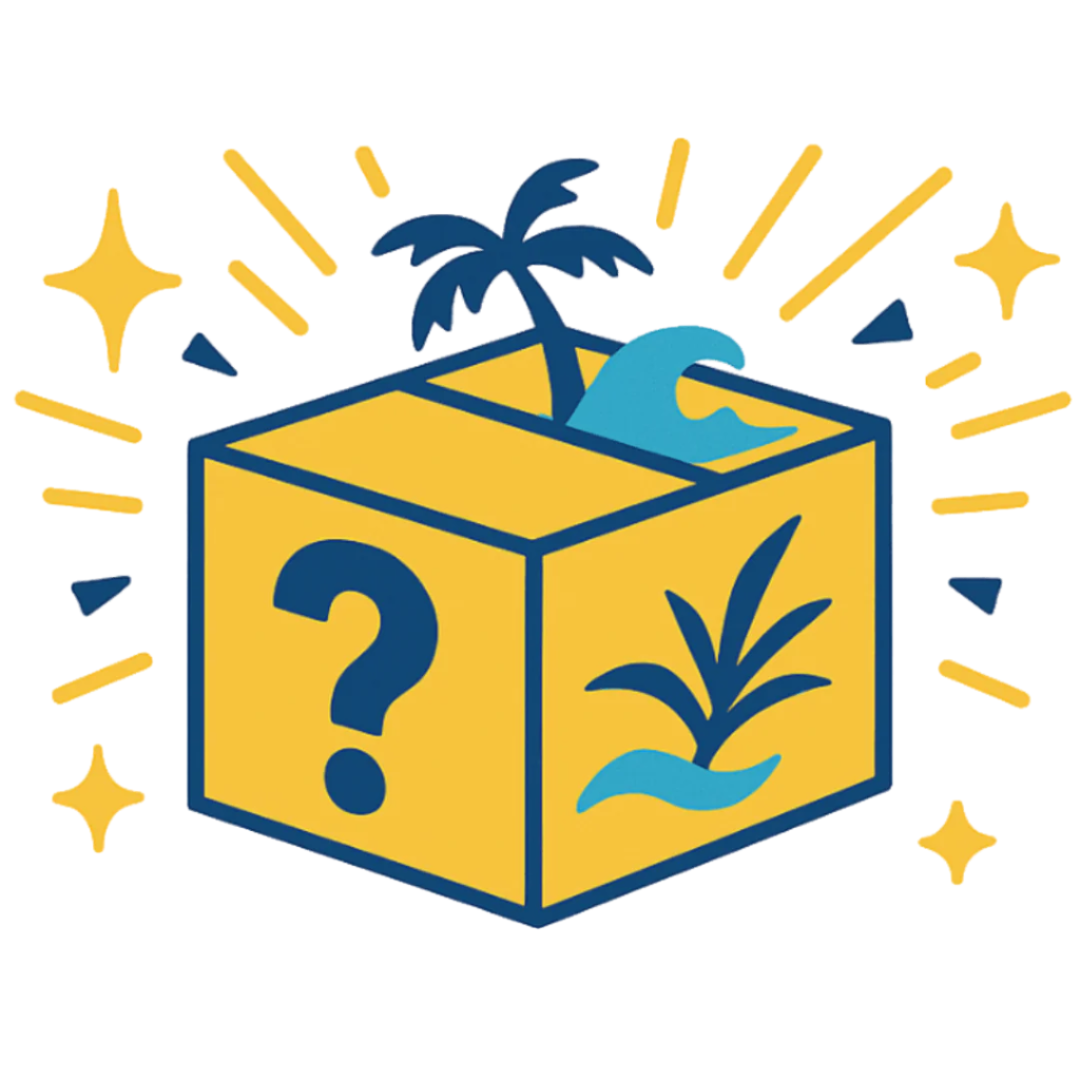BOARDWALKER Mystery Box